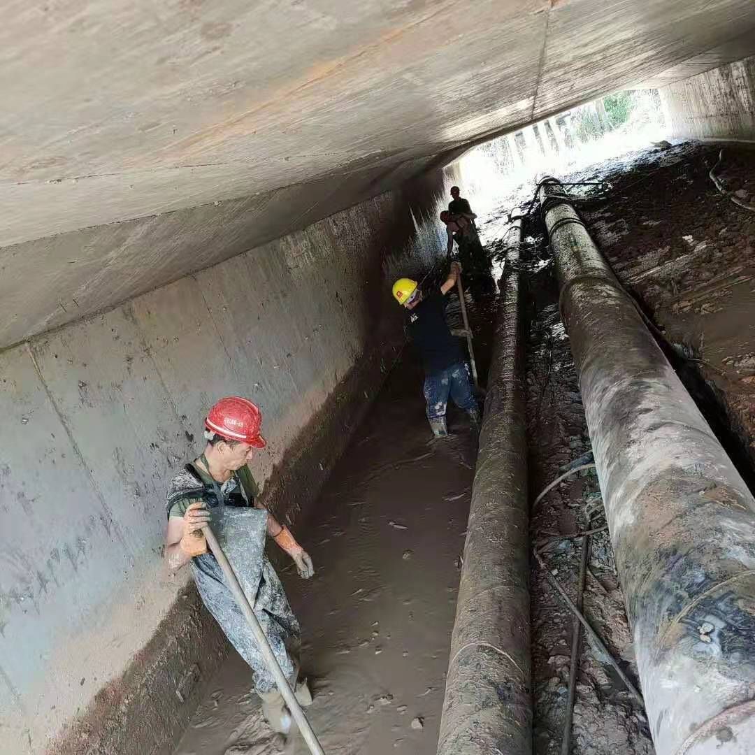 九合垸原种场工业管道清淤